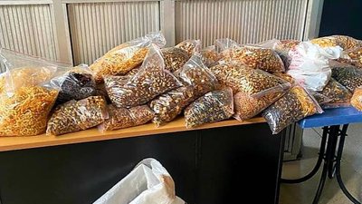 На Буковині іноземцю, який незаконно хотів вивезти закордон понад 60 кілограмів бурштину, повідомили про підозру
