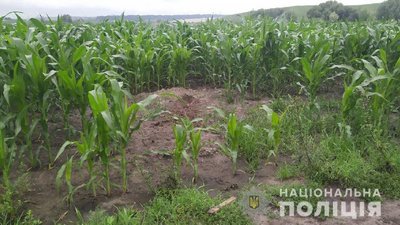 У Рівному в полі розкопали тіло чоловіка. Поліція розслідує вбивство У Рівному в полі розкопали тіло чоловіка. Поліція розслідує вбивство