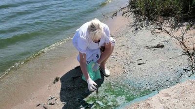 Літні задухи риби в миколаївських водоймах. Як запобігти наслідкам Літні задухи риби в миколаївських водоймах. Як запобігти наслідкам