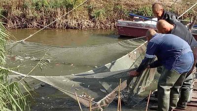 У водойми Херсонщини заселили рибу і охороняють її У водойми Херсонщини заселили рибу і охороняють її