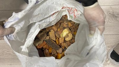 Фальшиві гроші Фальшиві гроші