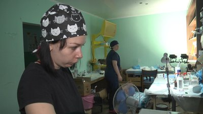 Стерилізація вакцинація тварини Лиман Донеччина Стерилізація вакцинація тварини Лиман Донеччина