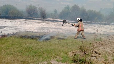 Горіла суха трава на Волині, пожежа в екосистемі, ДСНС