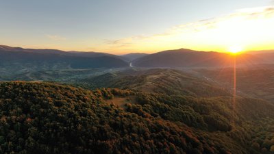 Закарпаття
