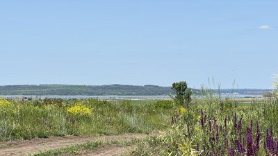 
Прогноз погоди 8 червня у Донецькій області