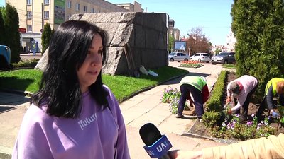 Три з половиною тисячі саджанців квітів висадять на двох міських клумбах Житомира Три з половиною тисячі саджанців квітів висадять на двох міських клумбах Житомира