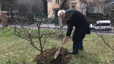 У львівському Домі Франка відновили сад У львівському Домі Франка відновили сад