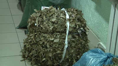 "Хочу допомагати чим можу": львів'яни плетуть сітки для військових на фронт
