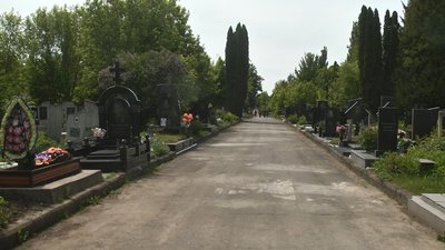 "Ні штучним квітам і вінкам": як і чому у Хмельницькому борються зі штучними квітами на могилах "Ні штучним квітам і вінкам": як і чому у Хмельницькому борються зі штучними квітами на могилах