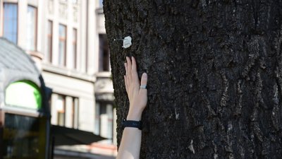 У Львові триває інвентаризація дерев: їх чіпують, а дані вносять до онлайн-реєстру У Львові триває інвентаризація дерев: їх чіпують, а дані вносять до онлайн-реєстру