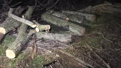 На Херсонщині громадські активісти затримали лісового браконьєра і передали його поліцейським На Херсонщині громадські активісти затримали лісового браконьєра і передали його поліцейським