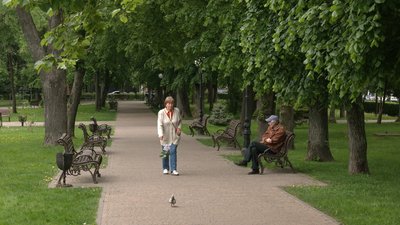 Піковий період розмноження мошок у Чернігові: скільки це триватиме та як від них рятуватися