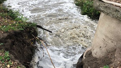 Аварійний скид неочищених стоків у Тетерів. Що показали проби води