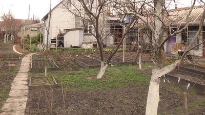 На Житомирщині долучаються до ініціативи громадянського суспільства "Сади перемоги" На Житомирщині долучаються до ініціативи громадянського суспільства "Сади перемоги"