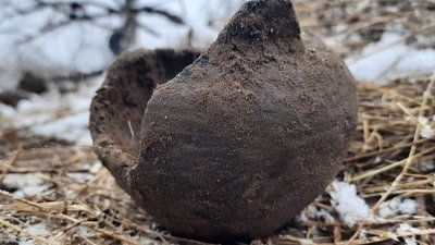 Дніпропетровщина: риючи окопи, тероборона знайшла горщик епохи бронзи