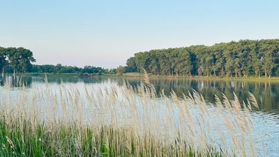 Дощ, грози, погода, Івано-Франківщина, довкілля, прогноз