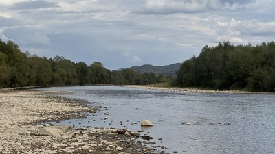 Річка Стрий на Львівщині, вересень 2025 року