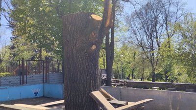 Житомирський військовий на підтримку побратимів вирізає з дерева герб 95 бригади Житомирський військовий на підтримку побратимів вирізає з дерева герб 95 бригади