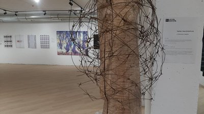 ART Week: 52 роботи представили на фестивалі в Миколаєві ART Week: 52 роботи представили на фестивалі в Миколаєві