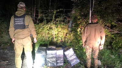 На Закарпатті службовці тричі виявили спроби незаконного перевезення цигарок через кордон