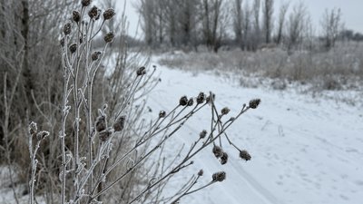 Засніжена дорога у Донецькій області