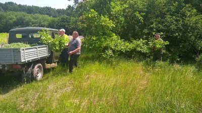 У лісгоспі на Черкащині заготовляють корм для підгодівлі диких тварин взимку