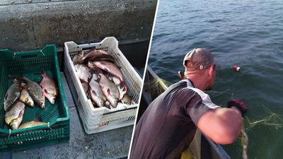 Риба, нерест, вилов риби, ловить рибу з човна, карась, судак,