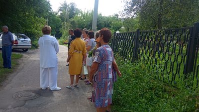 Близько 30 дерев зрізали поблизу річки Кам'янка у Житомирі