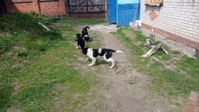 Двічі в одне місце — у Лебедині російська авіація кілька разів скидала бомби на вулицю Привокзальну Двічі в одне місце — у Лебедині російська авіація кілька разів скидала бомби на вулицю Привокзальну