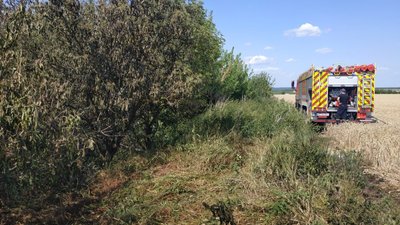 На Івано-Франківщині горіло поле. Вогонь знищив три гектари пшениці На Івано-Франківщині горіло поле. Вогонь знищив три гектари пшениці