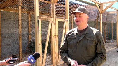 На Житомирщині облаштували перший в області фазанарій На Житомирщині облаштували перший в області фазанарій