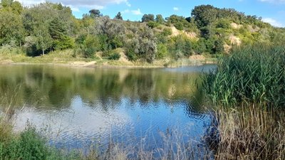 На Полтавщині із водойми дістали тіло жінки На Полтавщині із водойми дістали тіло жінки
