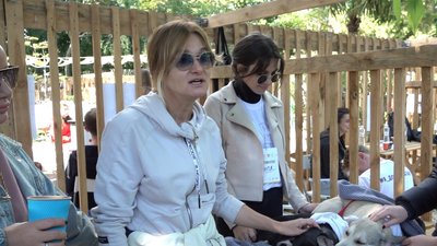 В Одесі вшосте проходить фестиваль для тварин з притулків Home Me Fest В Одесі вшосте проходить фестиваль для тварин з притулків Home Me Fest
