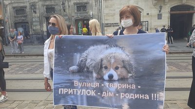 Пікет у Львові: люди вимагали відкрити притулок для тварин