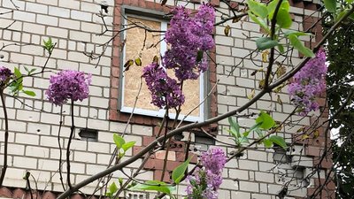 "Де б не були, але серце рвалось додому". До прифронтового села на Миколаївщині повертаються жителі "Де б не були, але серце рвалось додому". До прифронтового села на Миколаївщині повертаються жителі