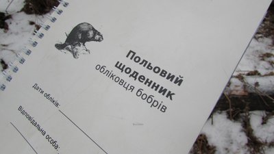 Бобер Бобер