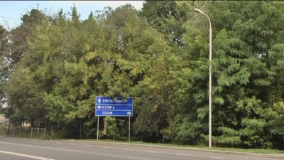 Алея вікових лип в Літині Алея вікових лип в Літині