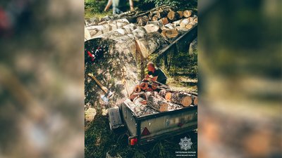 Розпиляли берези, які повалив вітер: у Чернігові виявили чоловіків з причепом деревини