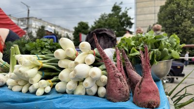 Продаж продуктів без дозволу. У Кропивницькому перевіряли місця стихійної торгівлі Продаж продуктів без дозволу. У Кропивницькому перевіряли місця стихійної торгівлі