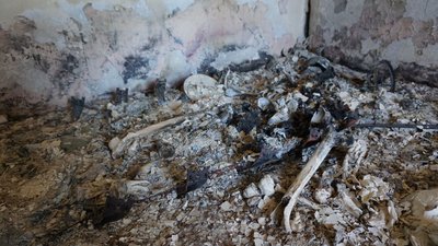 У Харкові зі згорілого будинку вивезли останки загиблого від обстрілу РФ в'язня концтаборів У Харкові зі згорілого будинку вивезли останки загиблого від обстрілу РФ в'язня концтаборів
