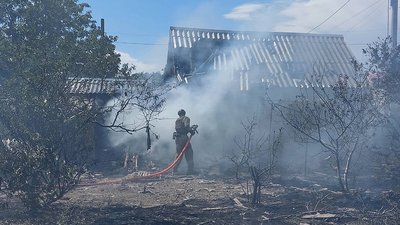 Пожежі на Миколаївщині: горів ліс, будинки, суха трава та сміття