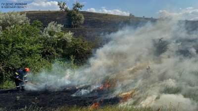 На Одещині за тиждень згоріло 24 гектари сухої рослинності На Одещині за тиждень згоріло 24 гектари сухої рослинності