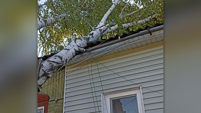 Буревій на Сумщині залишив без світла понад 24,5 тисячі людей