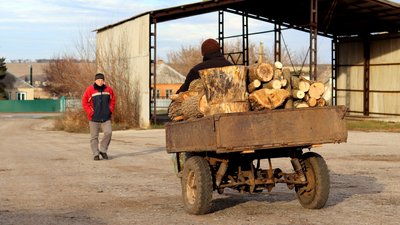 Везуть дрова у Лозовій
