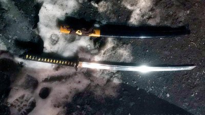 Мешканець Чернівецької області напав на односельців з мечем та пістолетом
