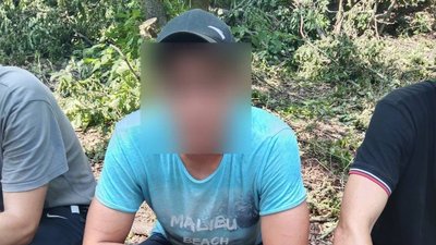 На Сумщині незаконно спиляли 50 дубів На Сумщині незаконно спиляли 50 дубів