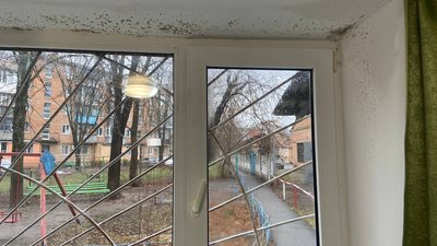 "Пліснявіють стіни": у гуртожитку УТОС у Полтаві без електрики немає опалення "Пліснявіють стіни": у гуртожитку УТОС у Полтаві без електрики немає опалення
