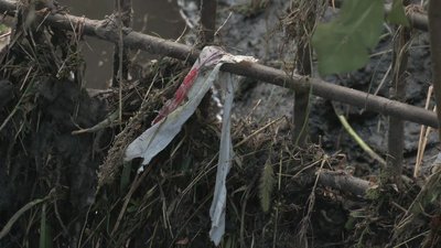 Трава забила зливові решітки: комунальники назвали причину потопу під мостом у Прилуках Трава забила зливові решітки: комунальники назвали причину потопу під мостом у Прилуках