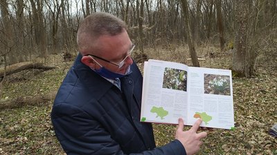 Тернопільський науковець розповів, чому зникають підсніжники Тернопільський науковець розповів, чому зникають підсніжники
