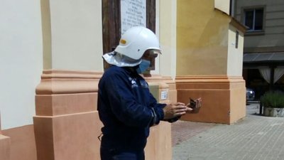 Франківські рятувальники визволили з Музею мистецтв Прикарпаття птаху